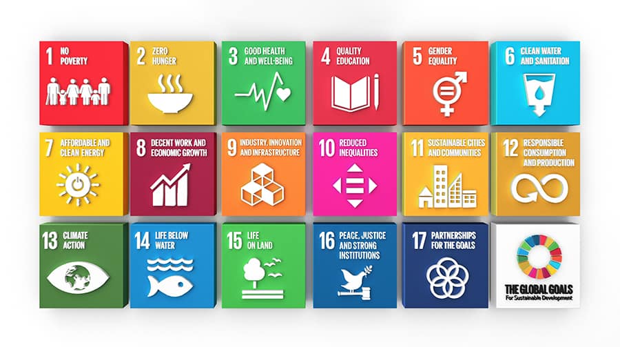 FCE Sustainable Development Goals